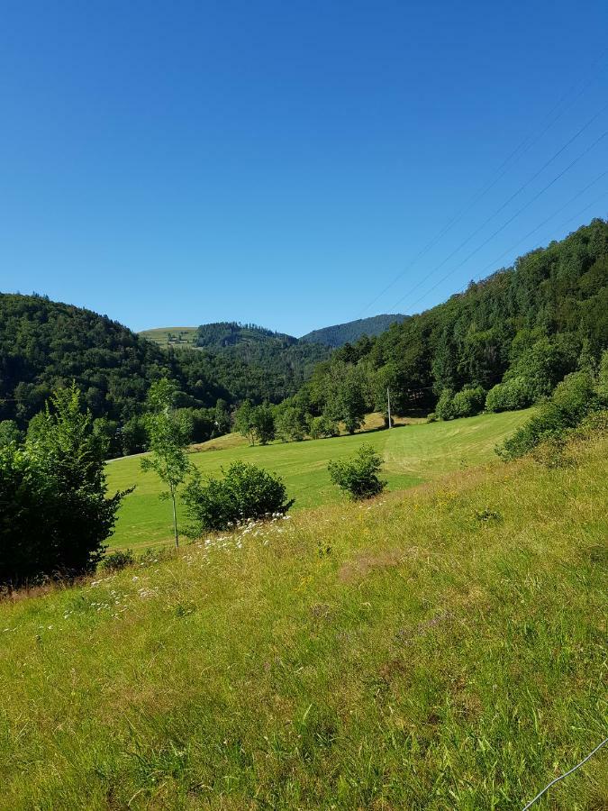 Appartamento Wiesenblume Schönau im Schwarzwald Esterno foto