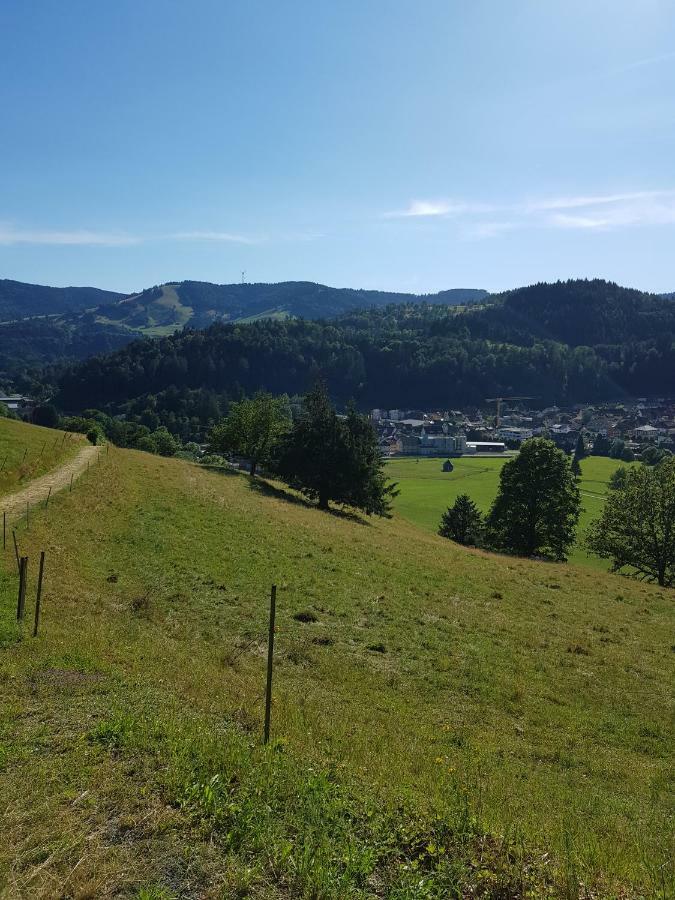Appartamento Wiesenblume Schönau im Schwarzwald Esterno foto